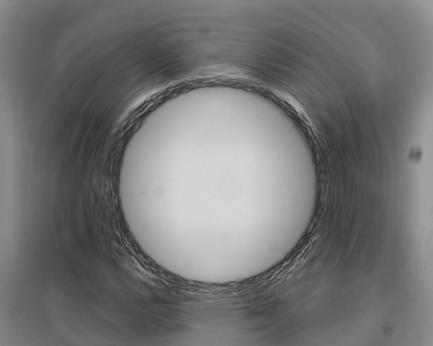 X0000095891112200801110822