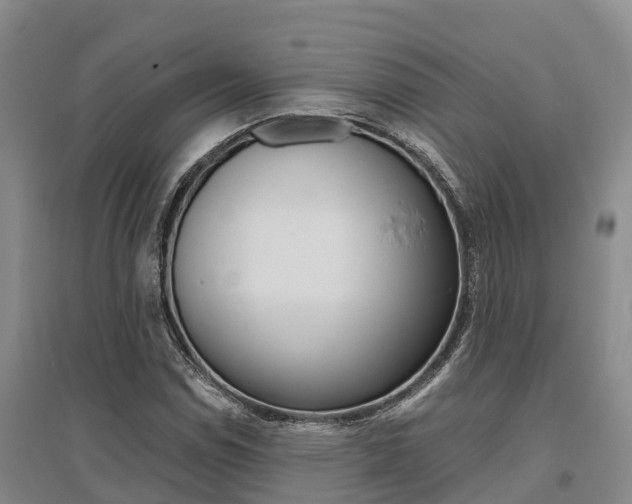 X0000095891114200801110822
