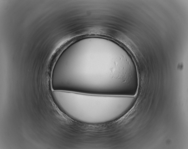 X0000095891115200801110822