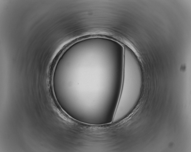 X0000095891116200801110822