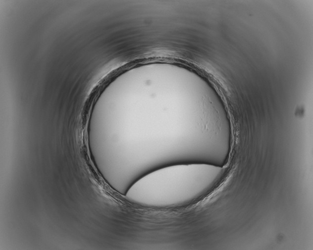X0000095891117200801110822