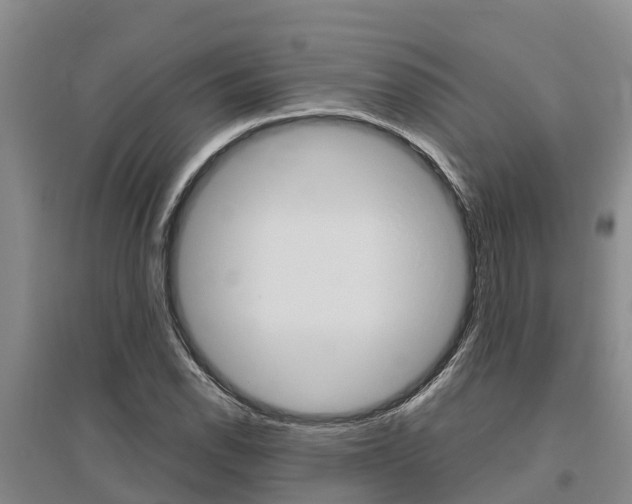 X0000095891118200801110822