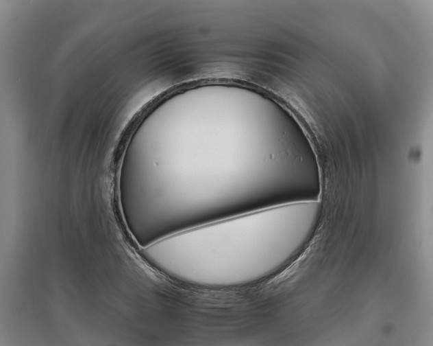 X0000095891119200801110822