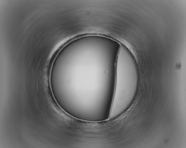 X0000095891120200801110822