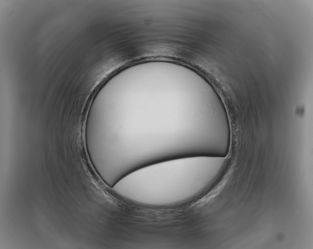 X0000095891121200801110822