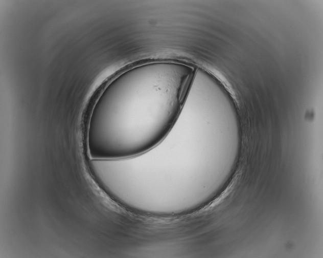 X0000095891122200801110822