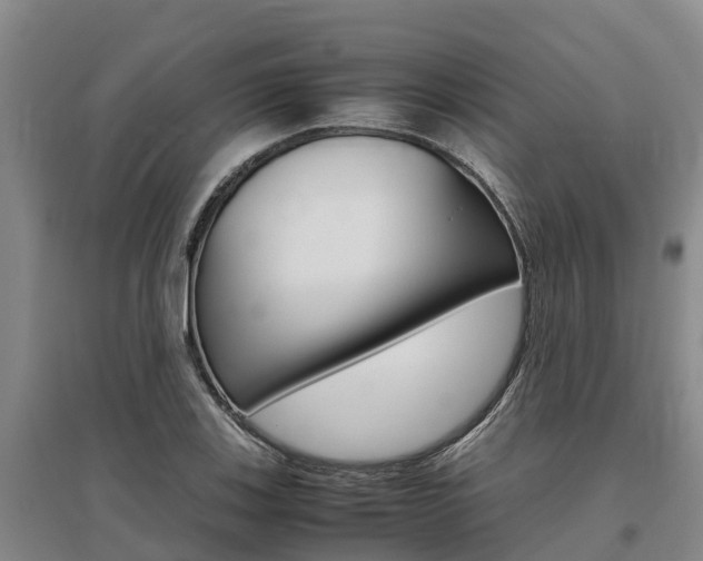 X0000095891123200801110822