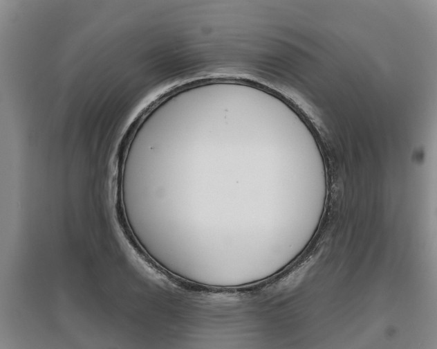 X0000095891126200801110822