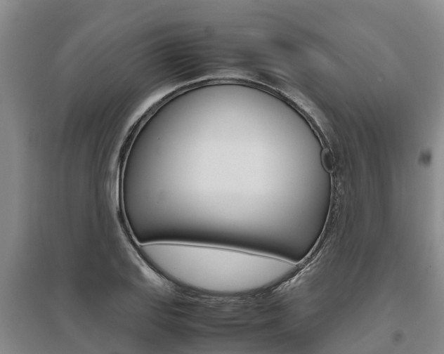 X0000095891127200801110822