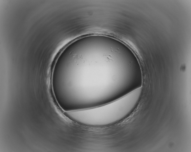 X0000095891128200801110822