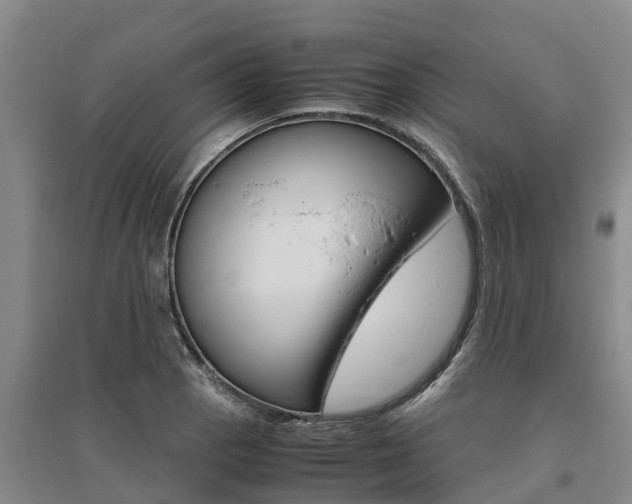 X0000095891129200801110822