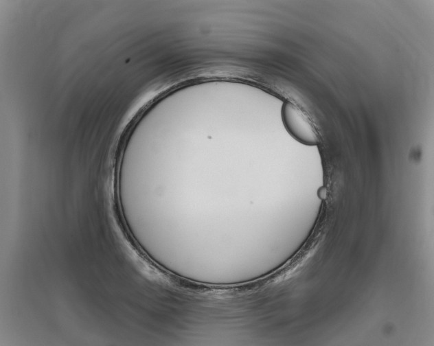 X0000095891130200801110822