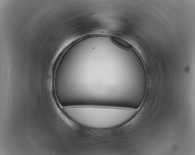 X0000095891131200801110822