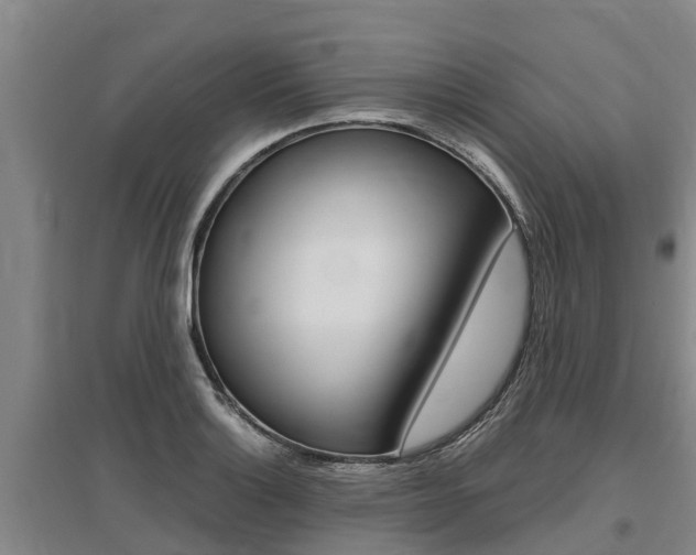 X0000095891132200801110822