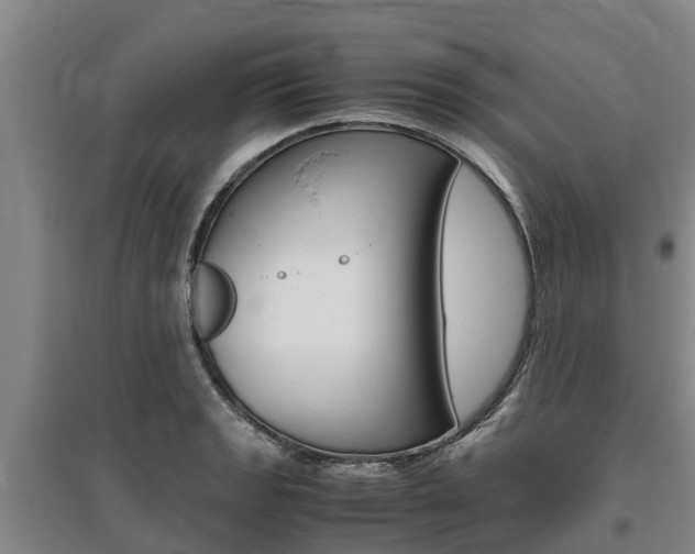 X0000095891133200801110822