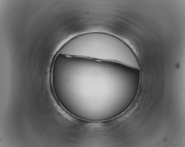 X0000095891134200801110822
