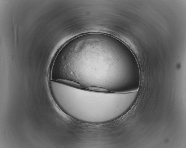 X0000095891136200801110822