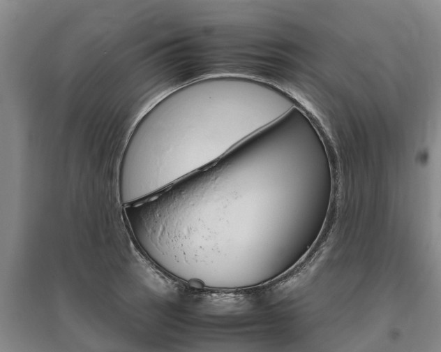 X0000095891137200801110822