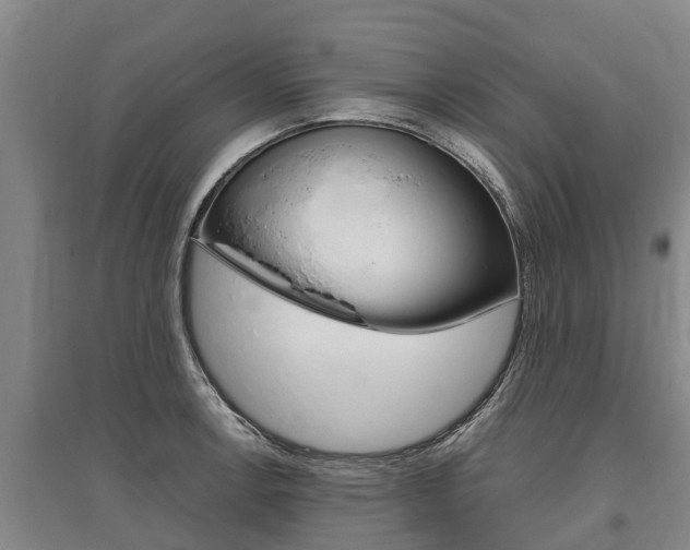 X0000095891138200801110822