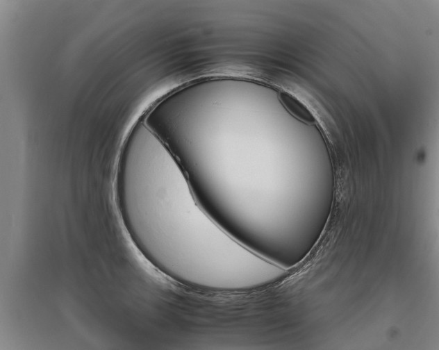X0000095891139200801110822