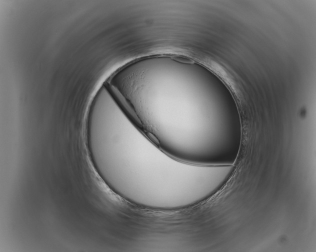 X0000095891140200801110822