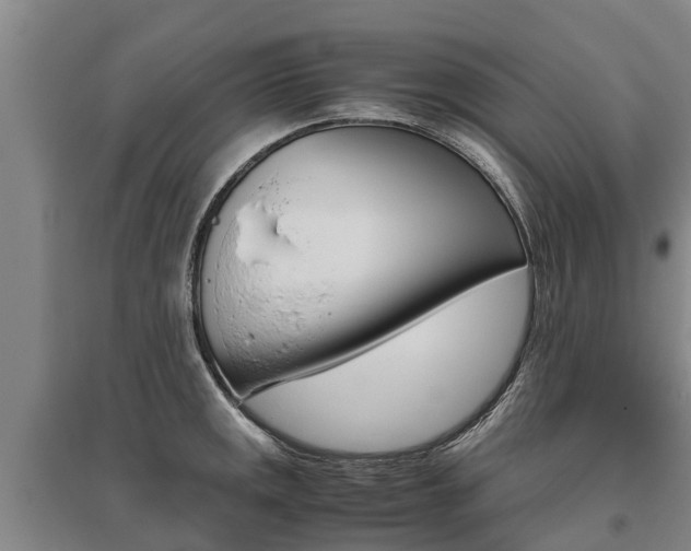 X0000095891141200801110822