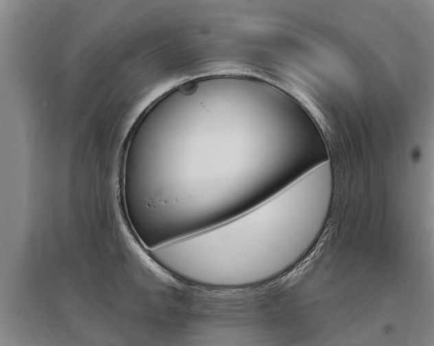 X0000095891142200801110822