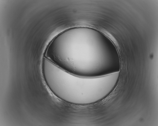 X0000095891144200801110822