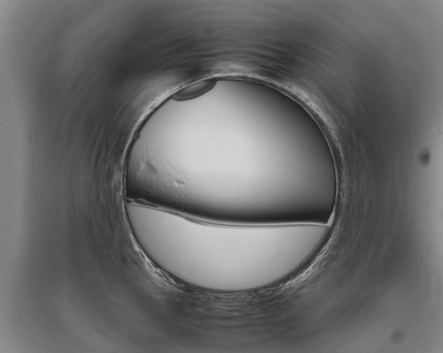 X0000095891145200801110822