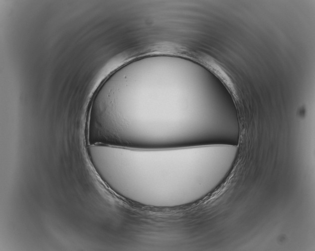 X0000095891146200801110822