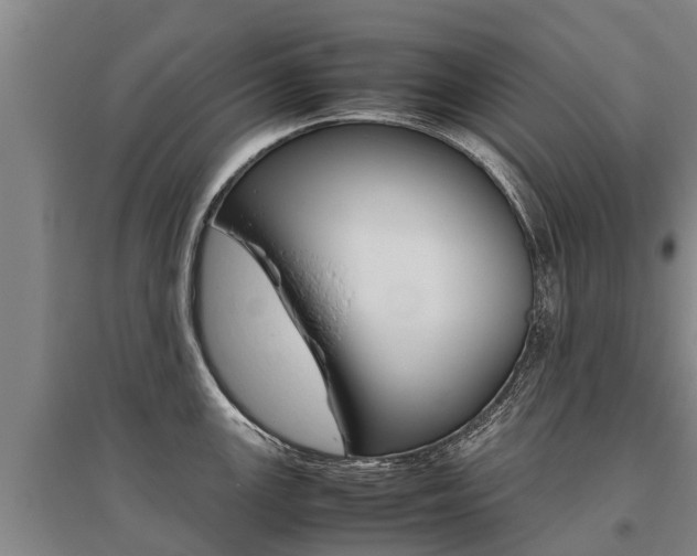 X0000095891147200801110823