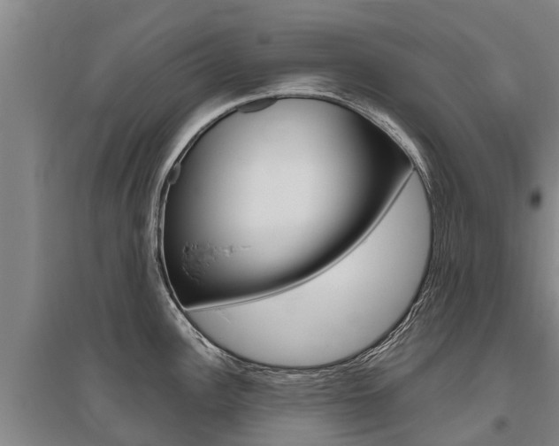 X0000095891148200801110823