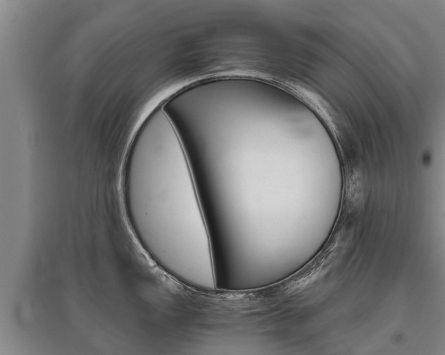 X0000095891149200801110823