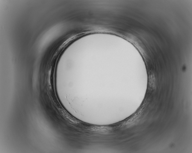 X0000095891150200801110823
