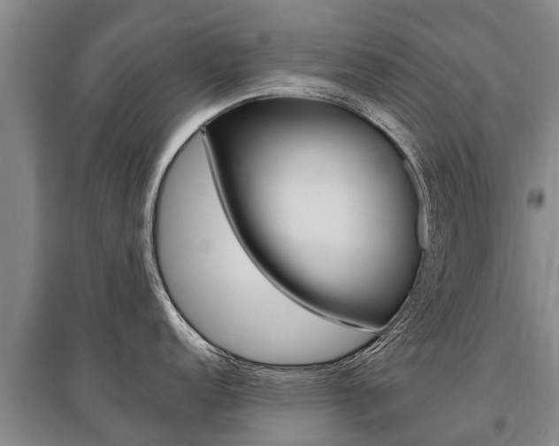 X0000095891152200801110823