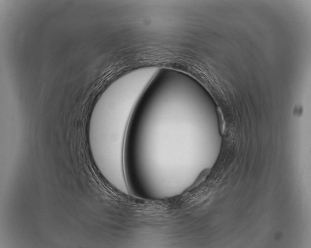 X0000095891153200801110822