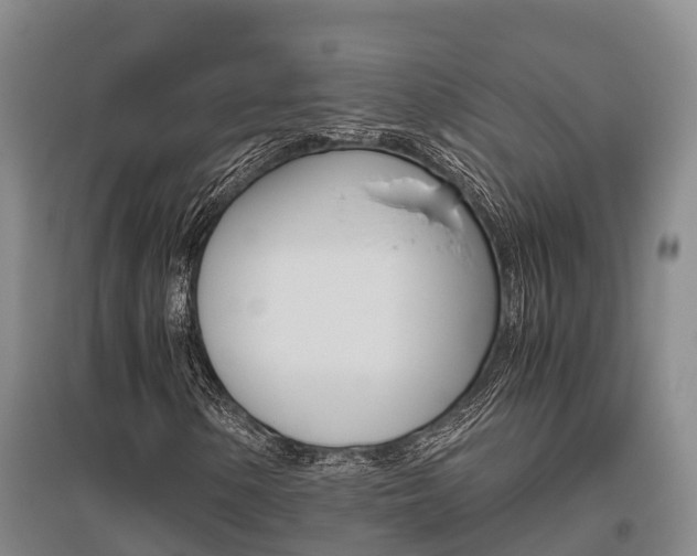 X0000095891154200801110822