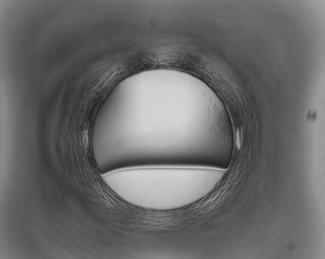 X0000095891155200801110822