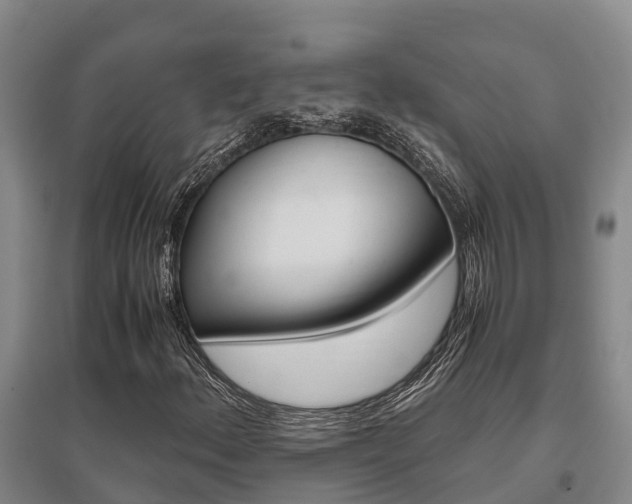 X0000095891156200801110822