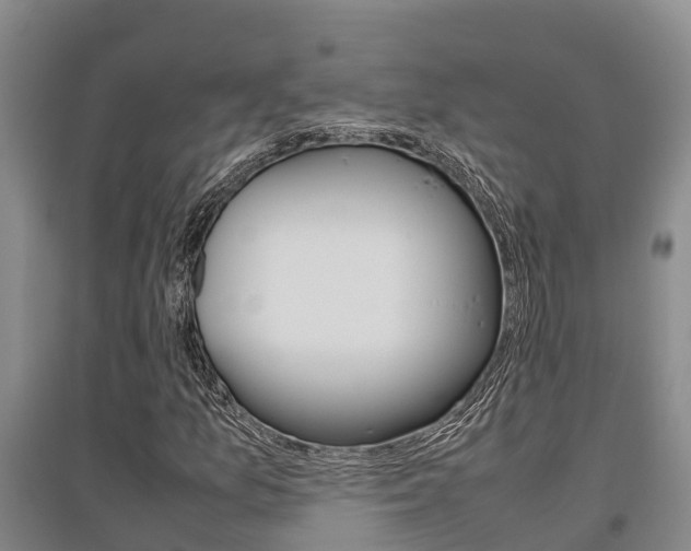 X0000095891157200801110822