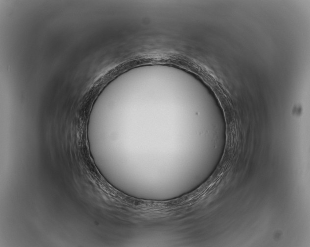 X0000095891158200801110822