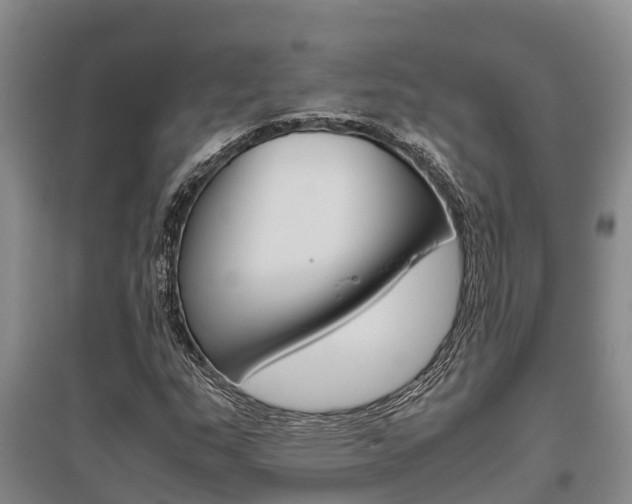 X0000095891159200801110822