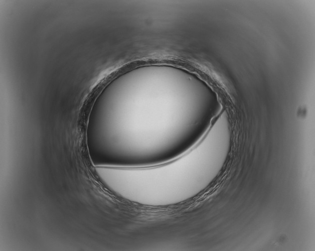 X0000095891160200801110822