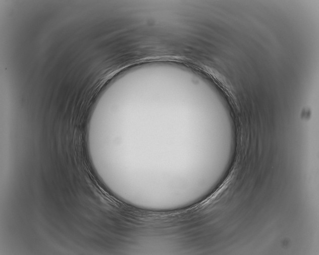 X0000095891161200801110822
