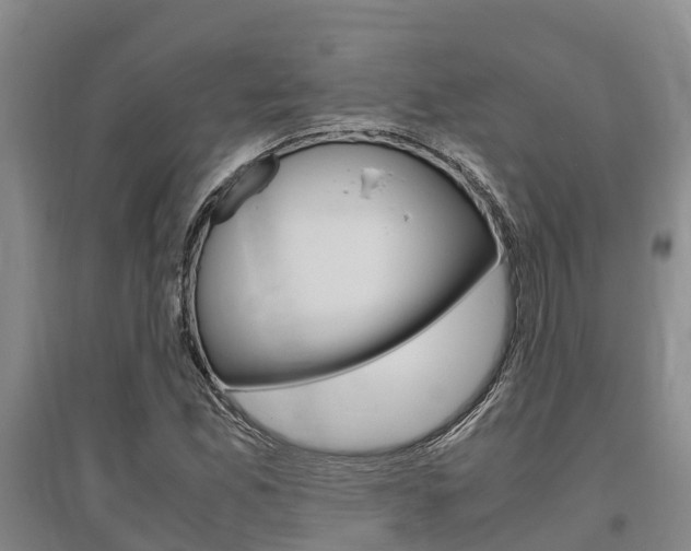 X0000095891165200801110821