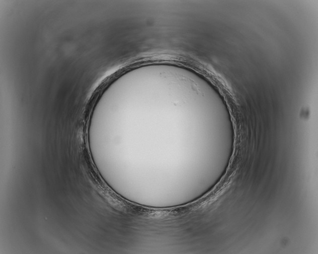 X0000095891166200801110821