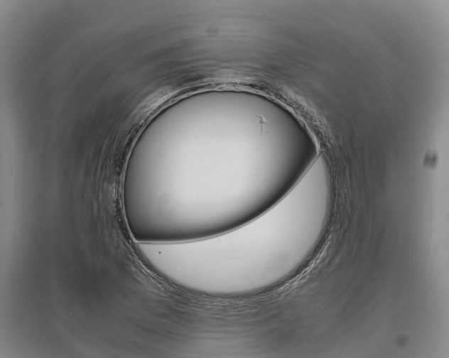 X0000095891169200801110821