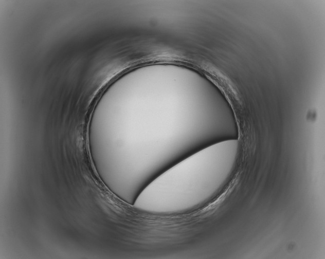 X0000095891170200801110821