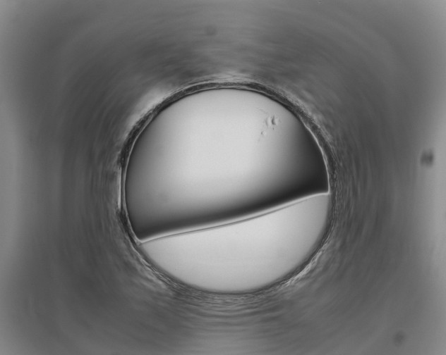 X0000095891171200801110821