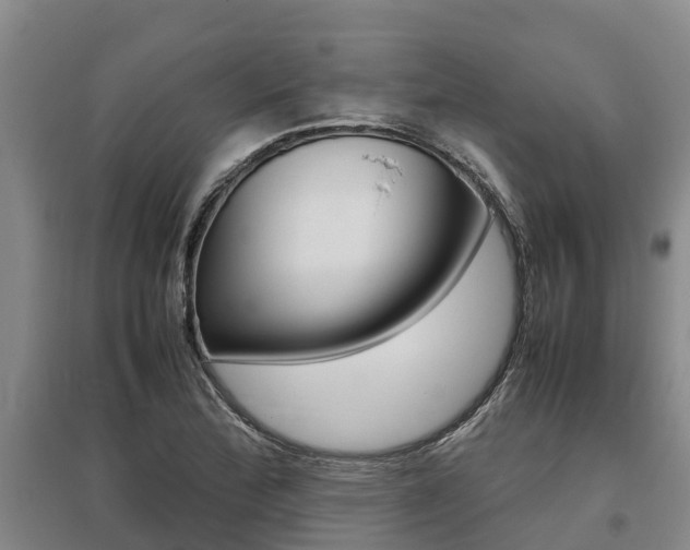X0000095891172200801110821